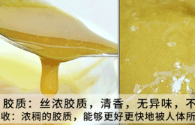 铁皮石斛粉的功效与作用及食用方法