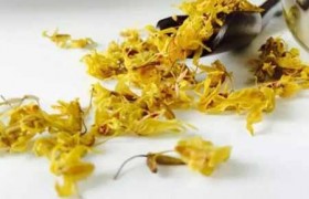 铁皮石斛花有哪些功效好处?铁皮石斛花泡水喝有哪些功效好处